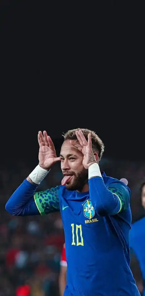 大利网球书 大利网球书