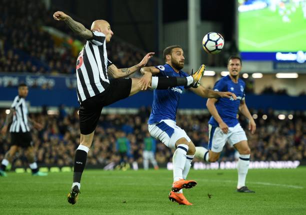 随着他们即 随着他们即